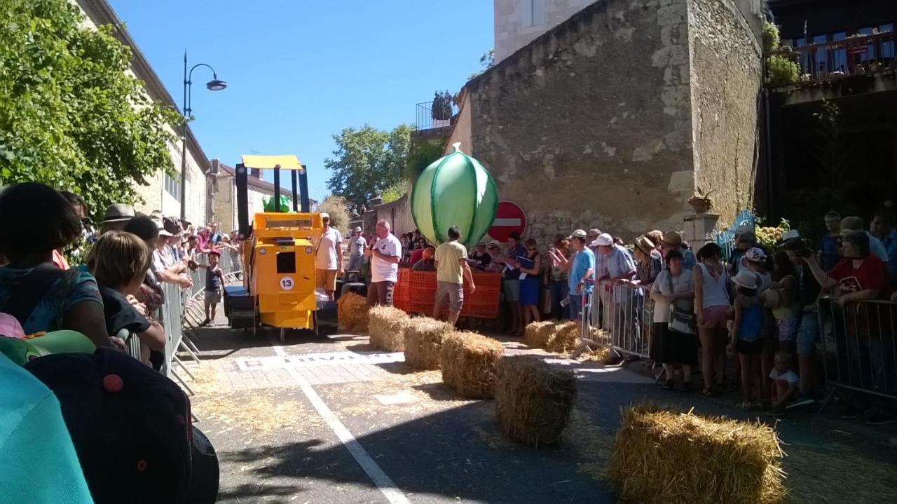 Gite De Claire Lectoure Bagian luar foto
