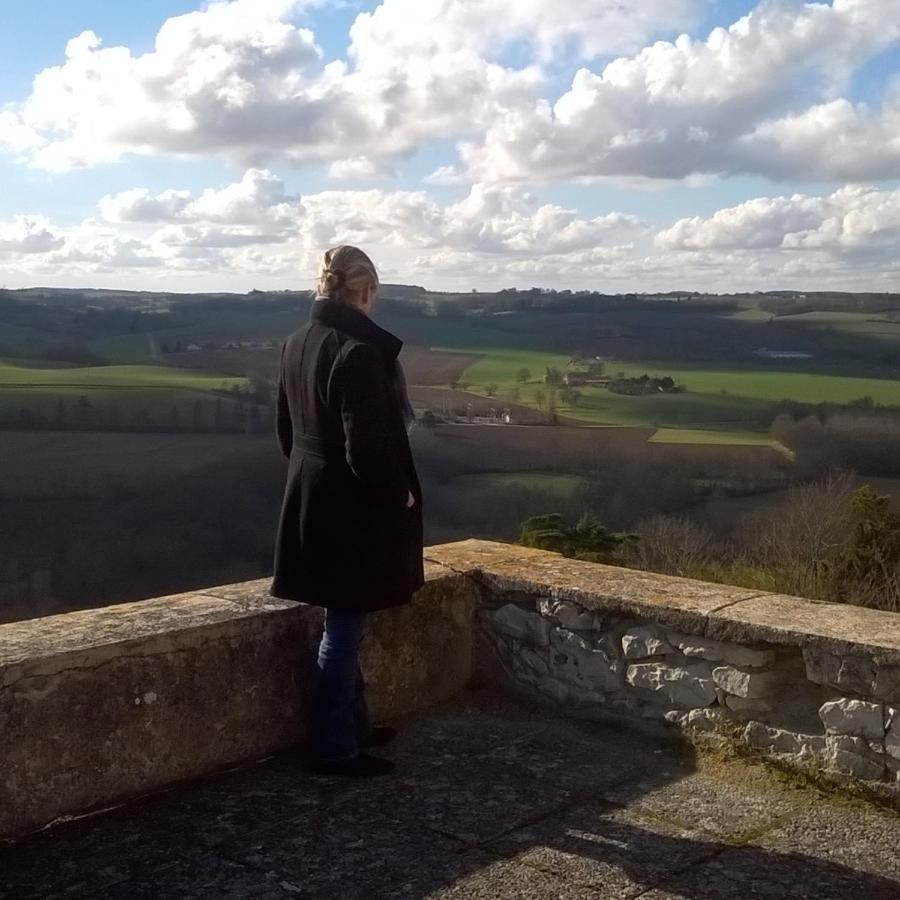Gite De Claire Lectoure Bagian luar foto